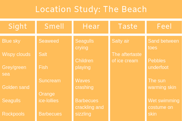Study The Beach